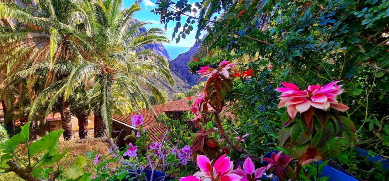 Paradise Tenerife سان ميغيل ذي أبونا المظهر الخارجي الصورة